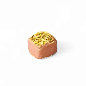 12 Piece Tray of Crispy Caramel Gianduja - J. Patrice Chocolate Studio