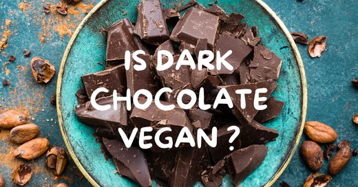 Is Dark Chocolate Vegan? A Vegan Guide