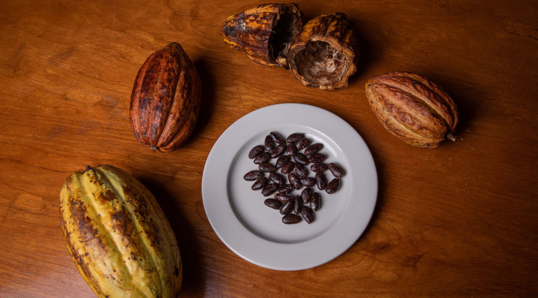 Sustainable chocolate bars in eco-friendly packaging with cocoa beans and green leaves.